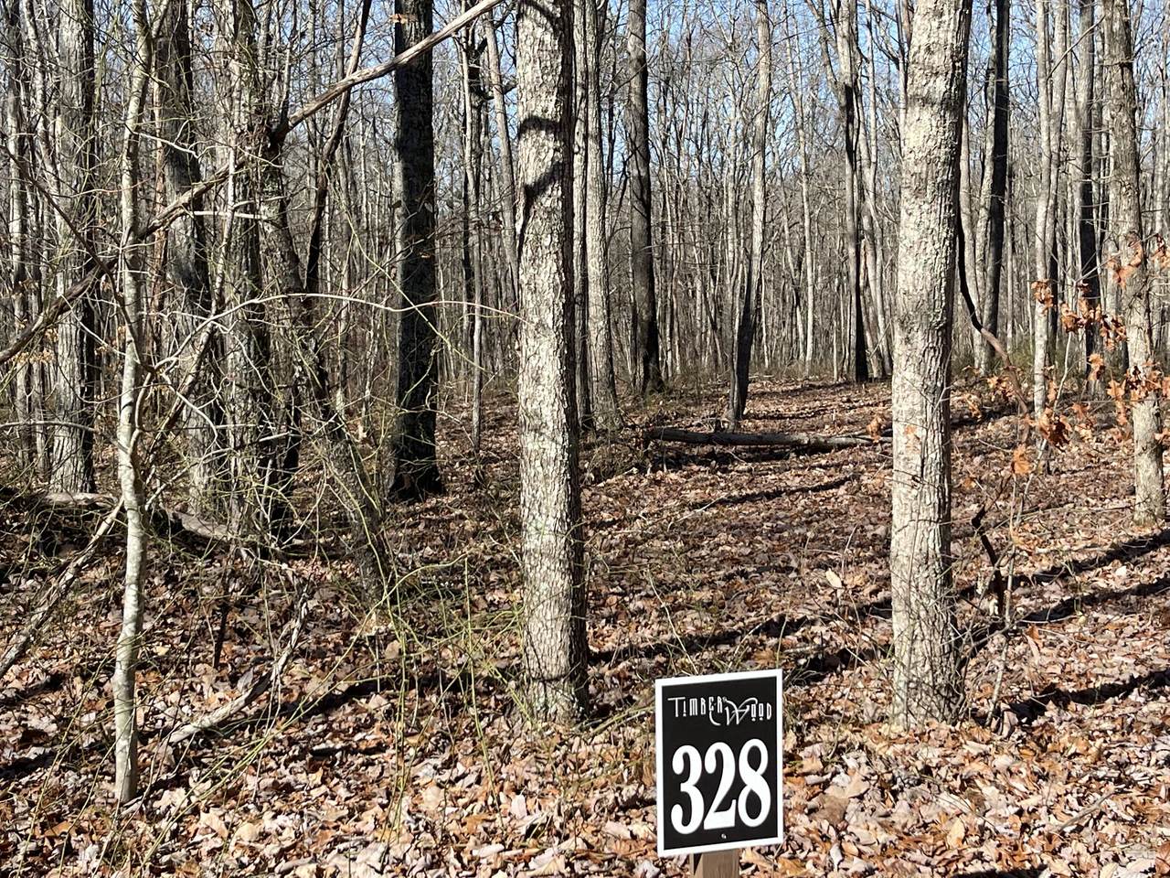 0 Timberwood Trce - Photo 1