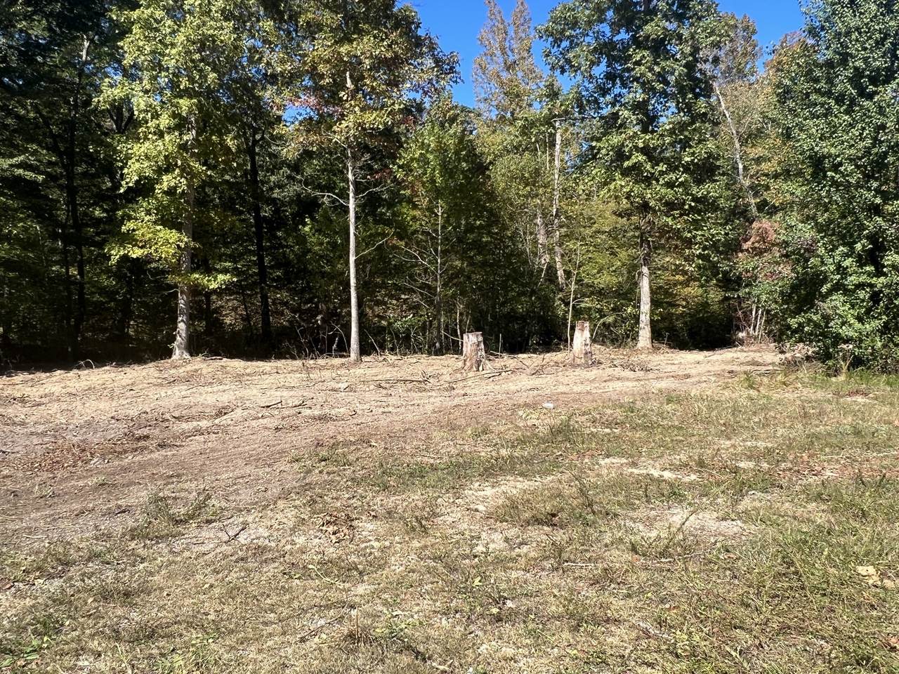 0 Whiteoak Ln - Photo 1