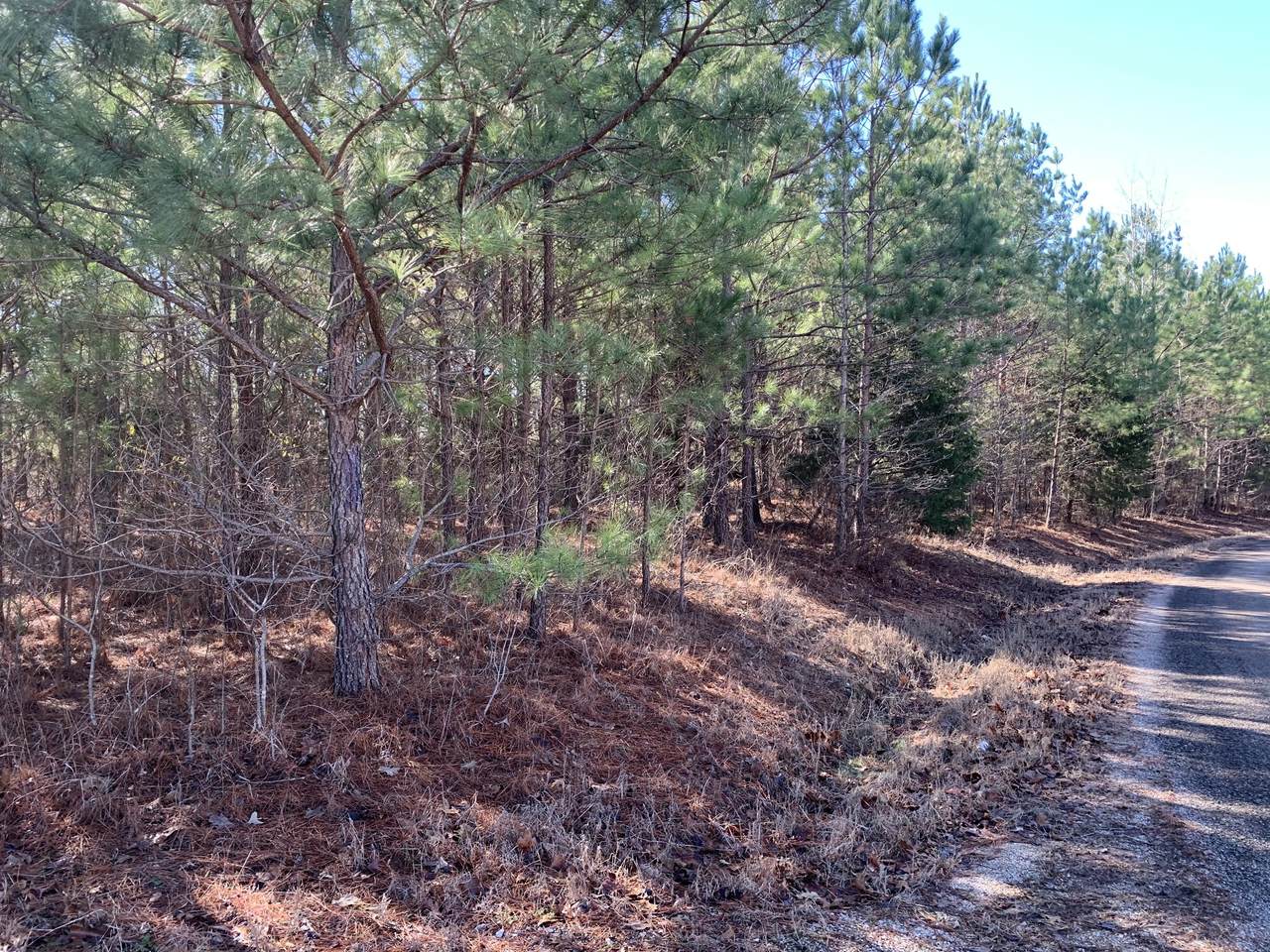 0 Bill Hendrix Rd - Photo 1