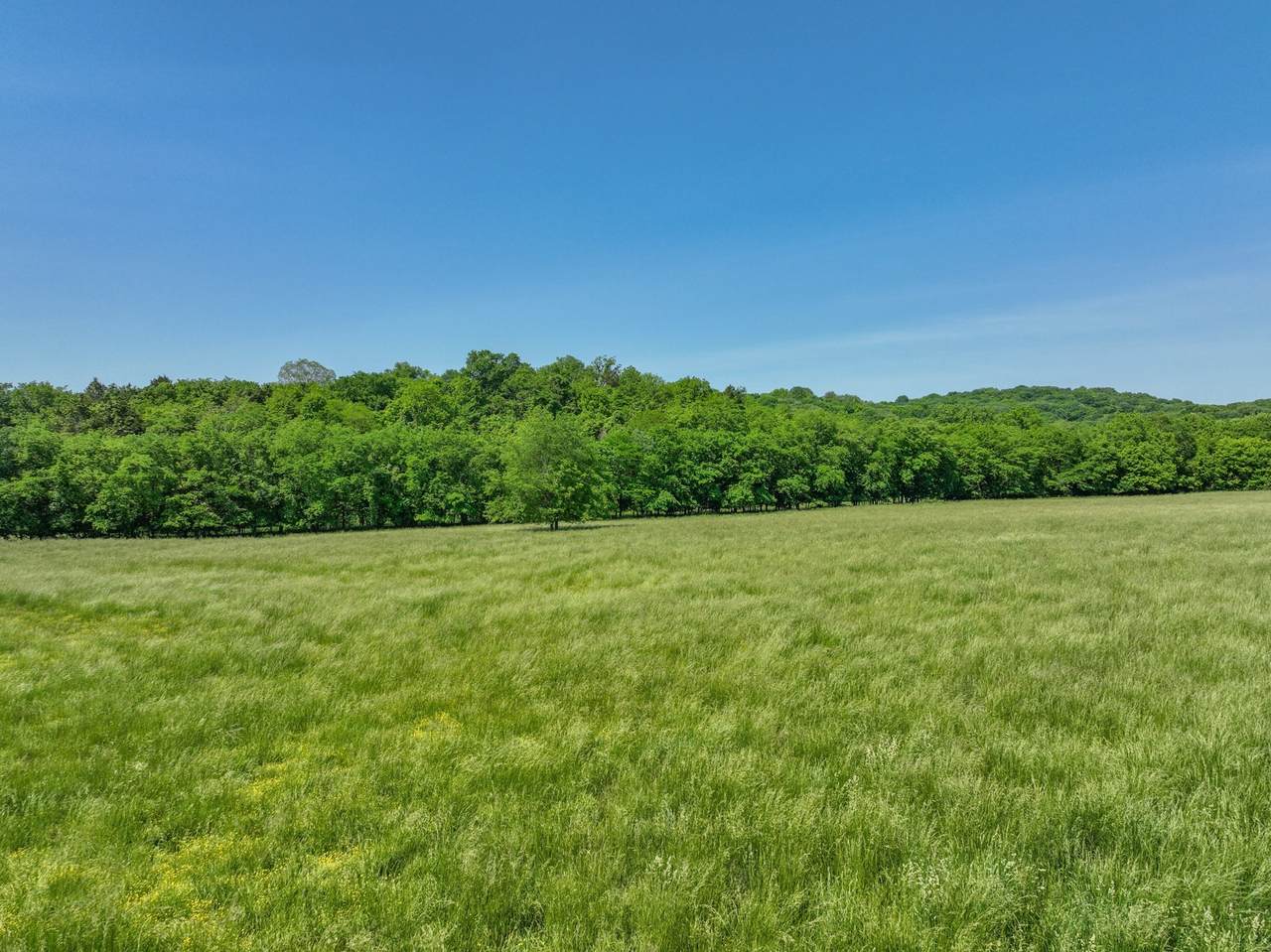 0 Jenkins Ln - Photo 1