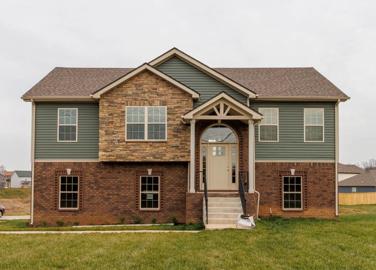 237 Cedar Springs - Photo 1