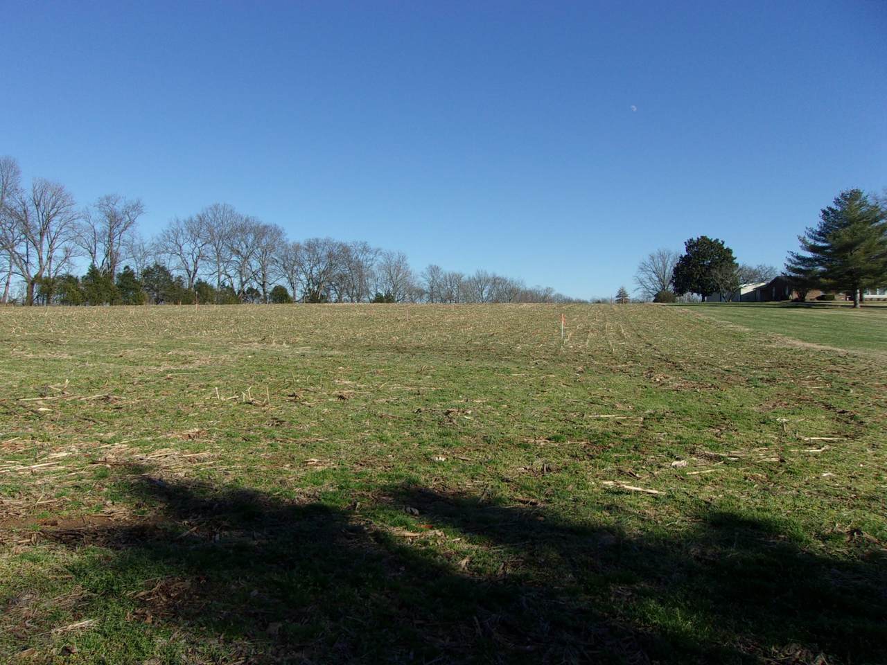 0 Highway 231 - Photo 1