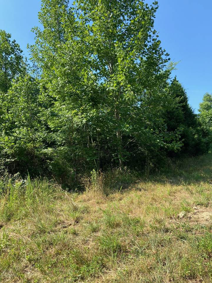 410B Clark Hollow Rd - Photo 1