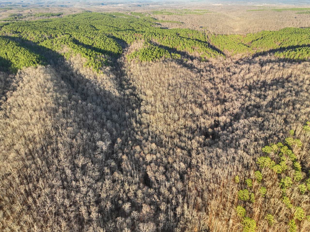 0 Blue Buck Creek - Photo 1