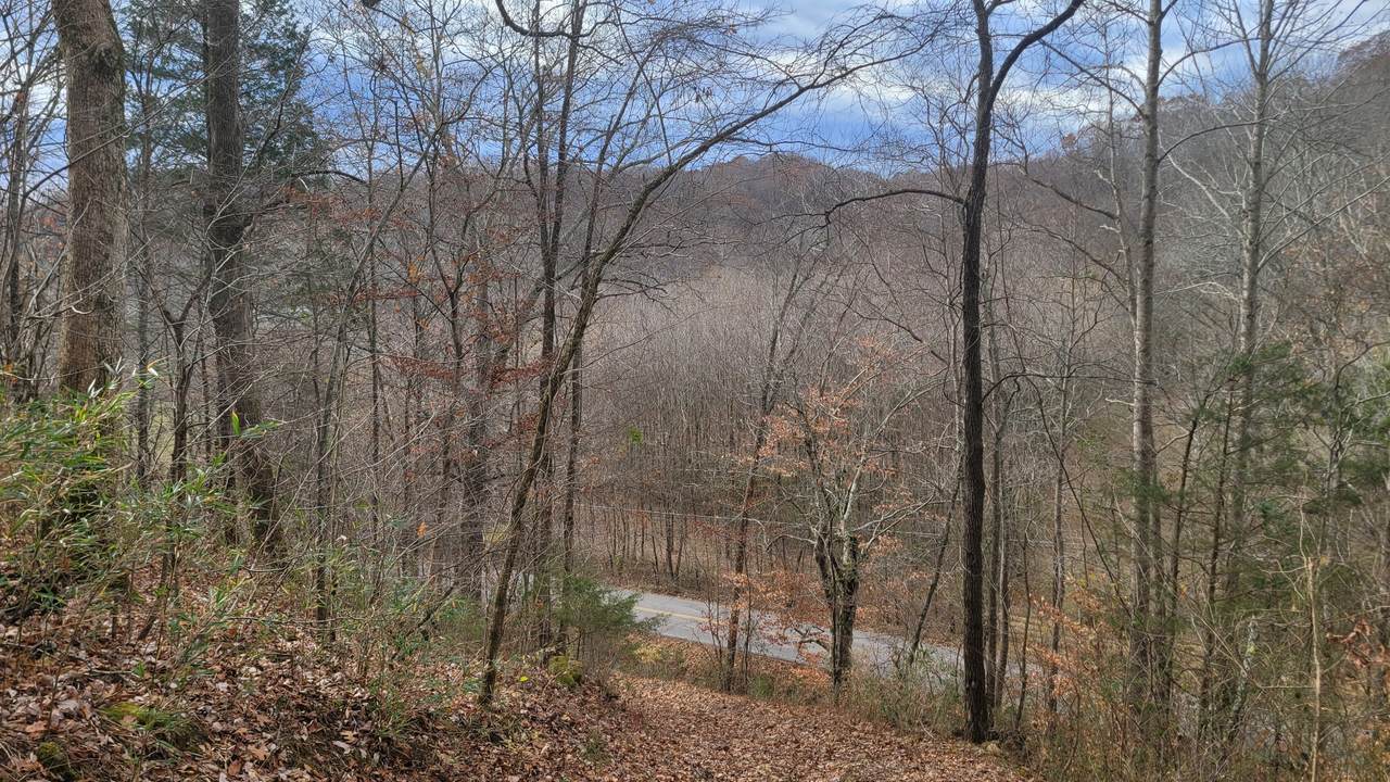 3316 Patton Branch Rd - Photo 1