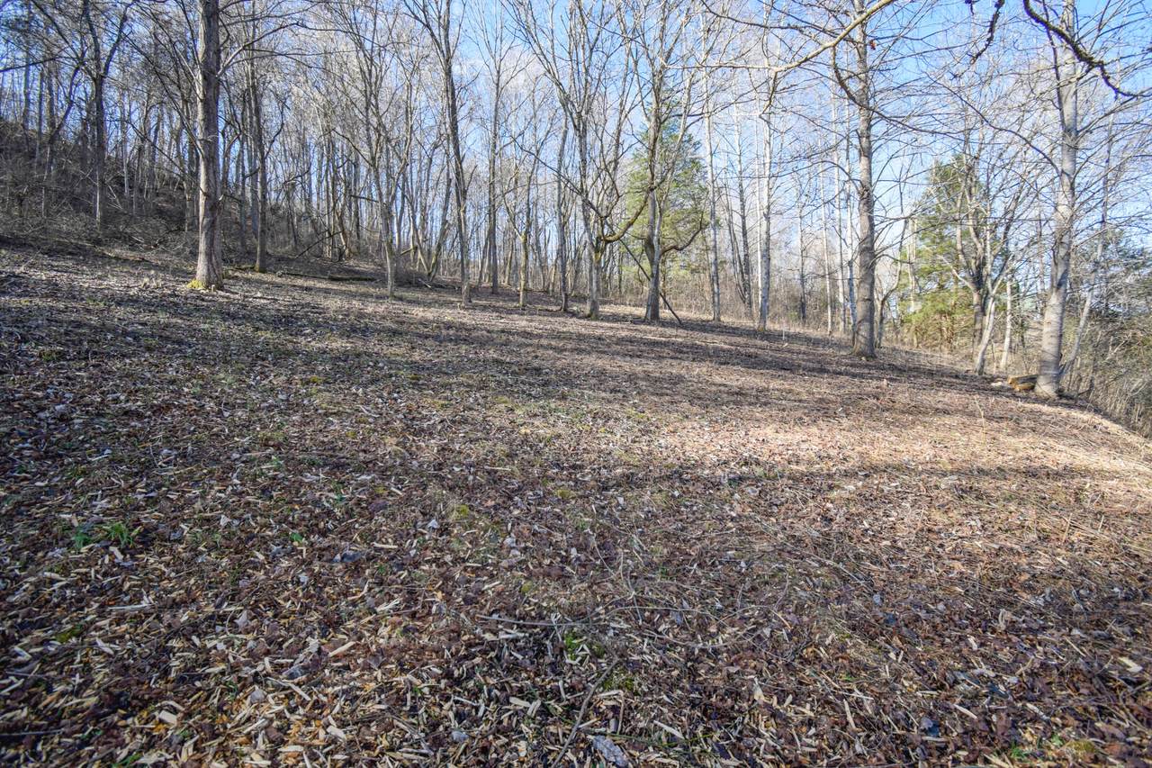 65 Maury Ln. - Photo 1