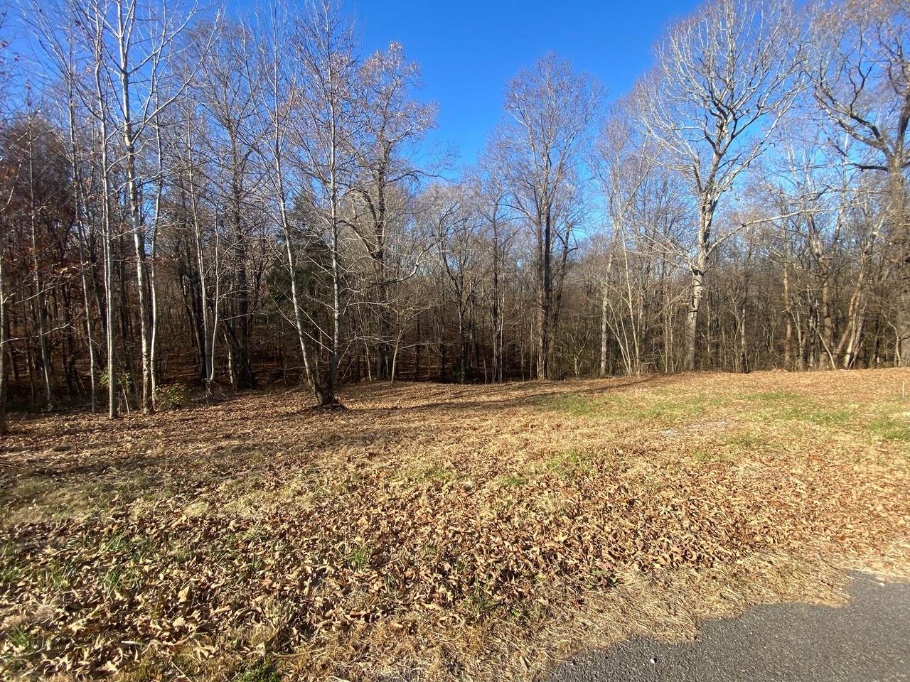 4151 Southside Rd - Photo 1
