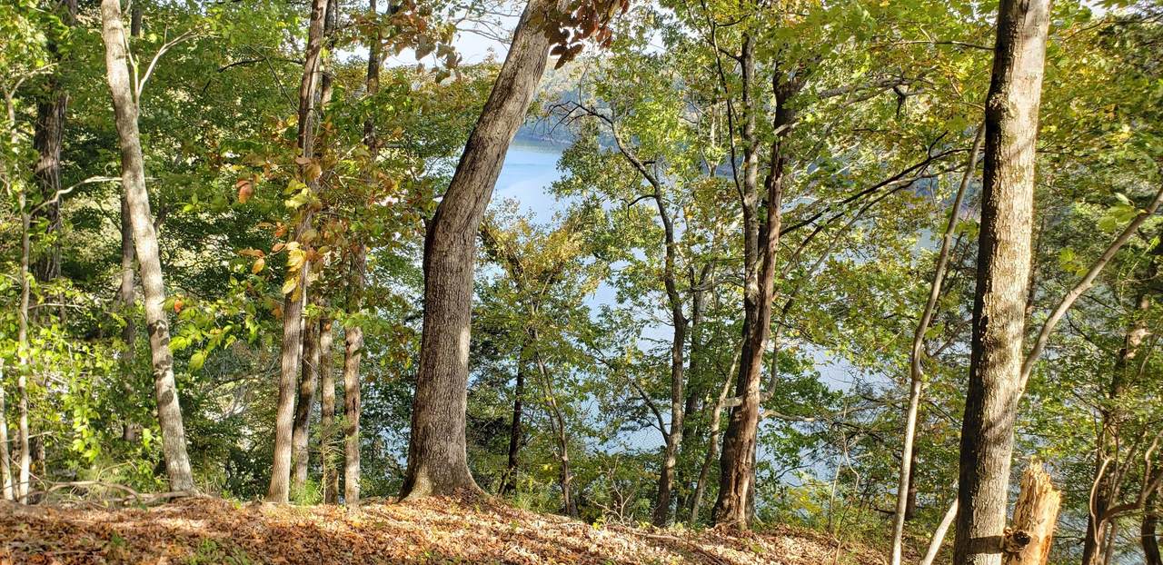 570 Potts Camp Rd. - Photo 1