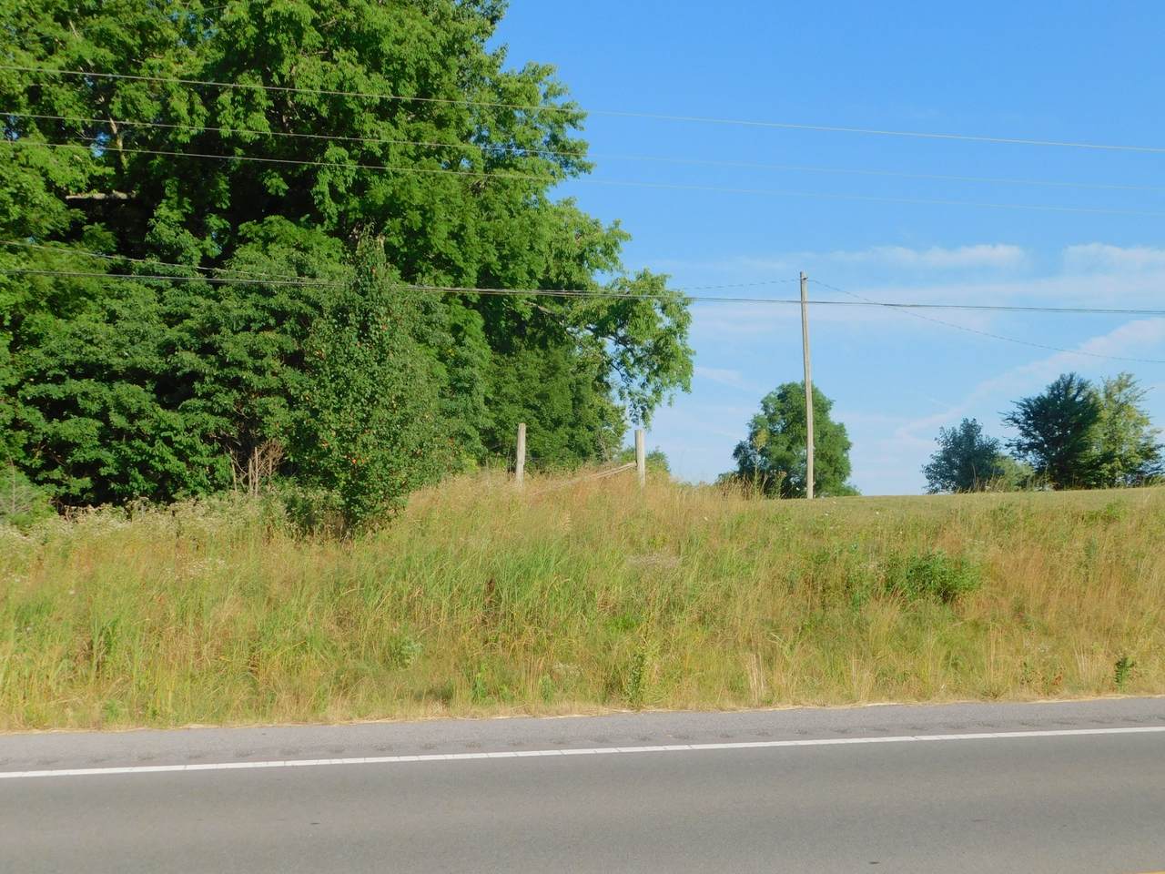 3132 Hwy 31 E - Photo 1