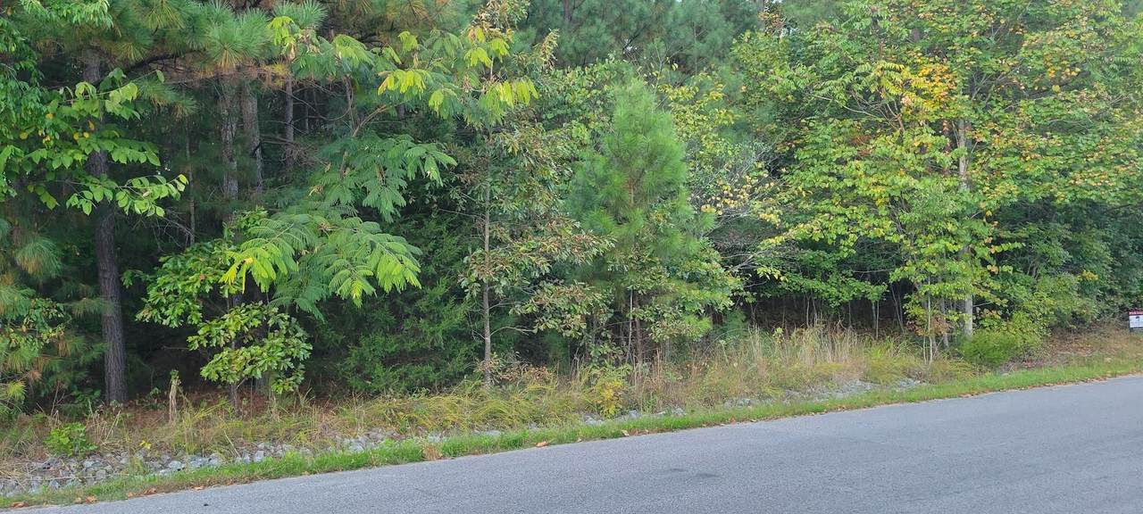 0 Juniper Road - Photo 1