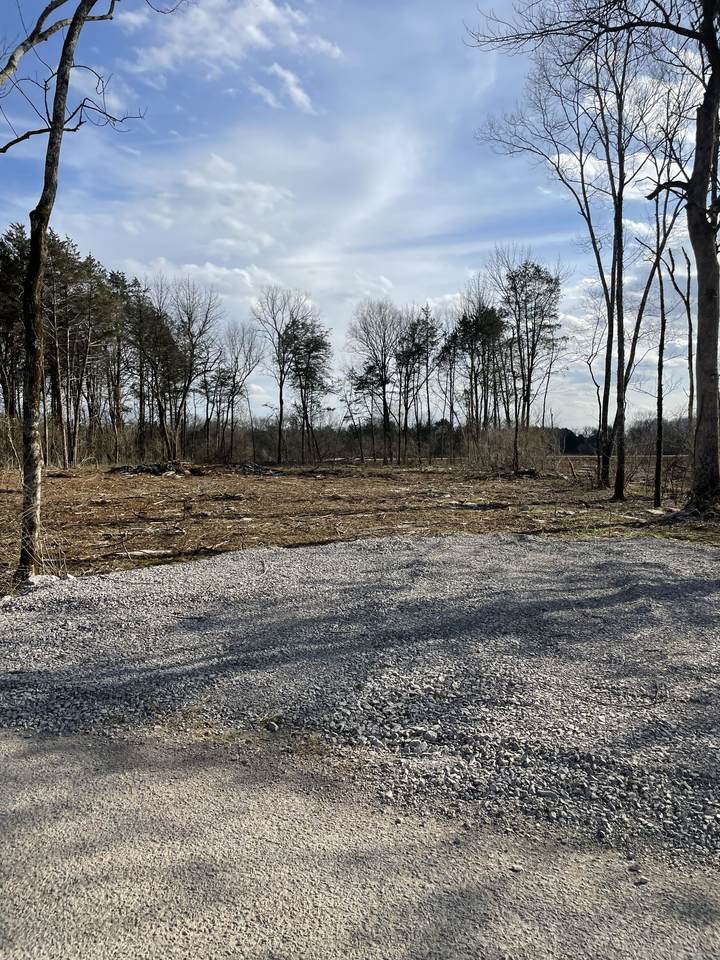 0 Will Brown Rd - Photo 1