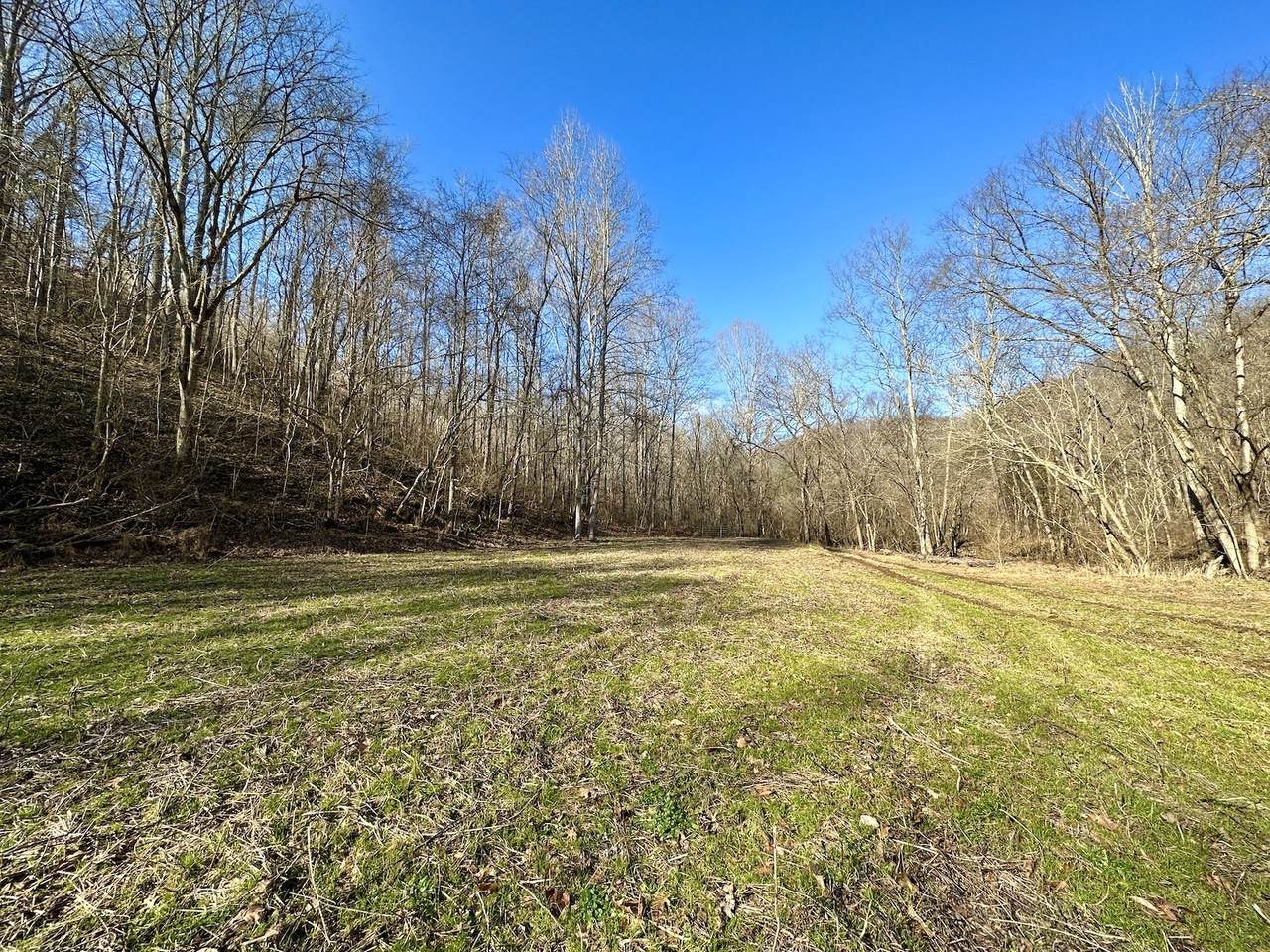 0 Hogsfoot Rd - Photo 1