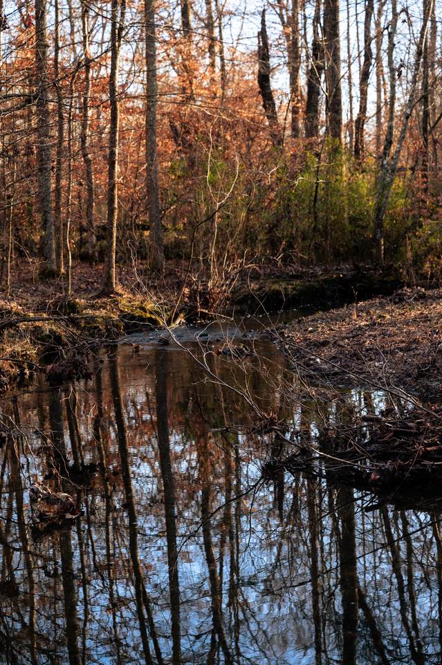 0 Lakewood Park Rd - Photo 1