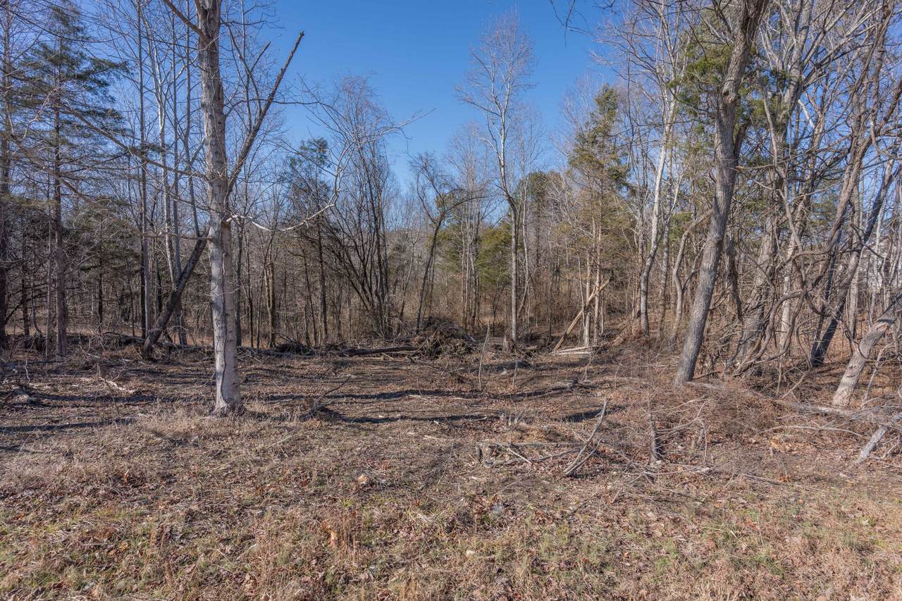 83 Gamaliel Rd - Photo 1