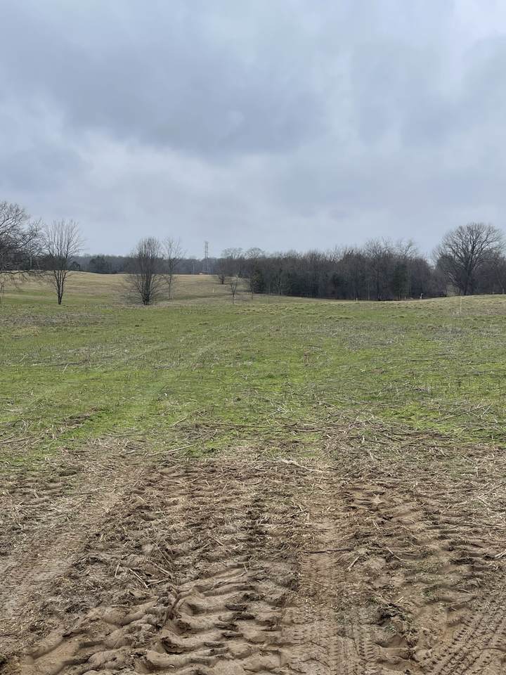 0 Horns Springs Rd Tract 4 - Photo 1