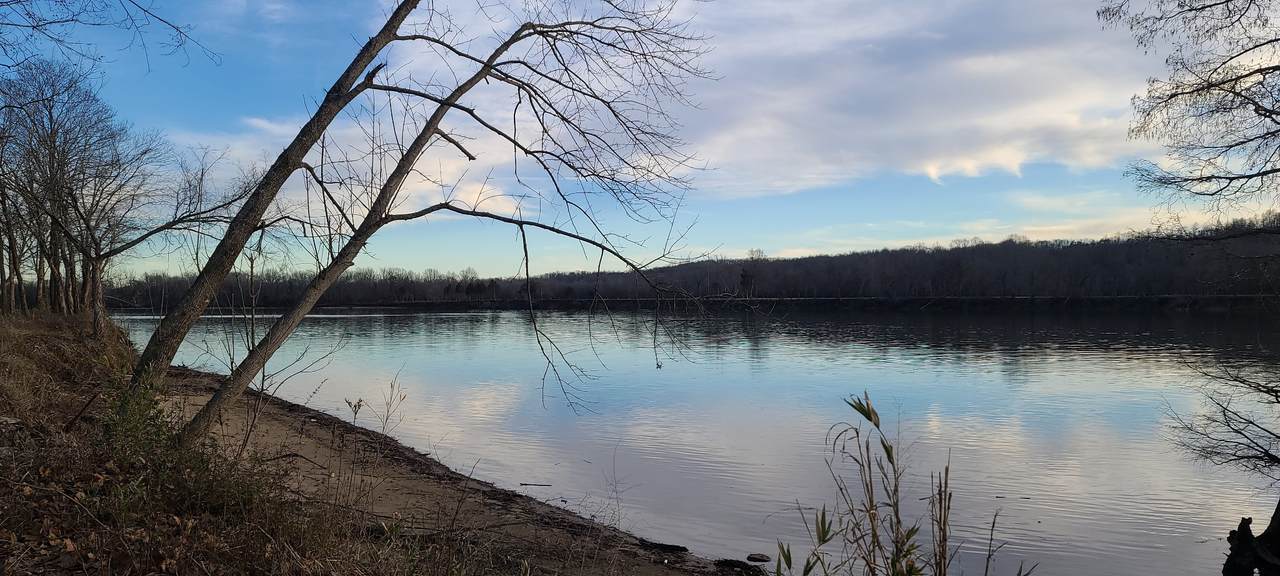 199 Hardin Bottom River Rd - Photo 1