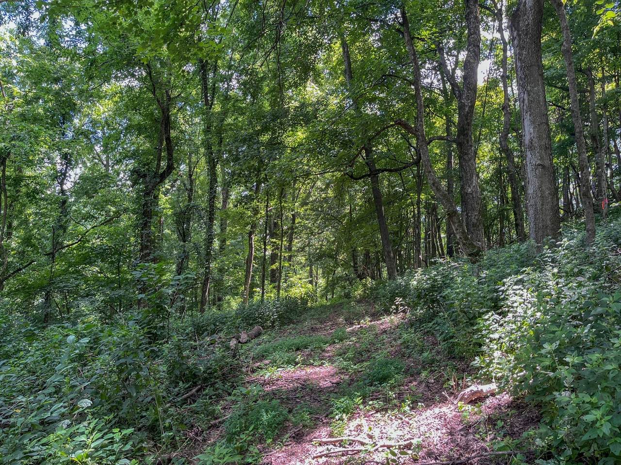 0 Sherrilltown Rd. - Photo 1