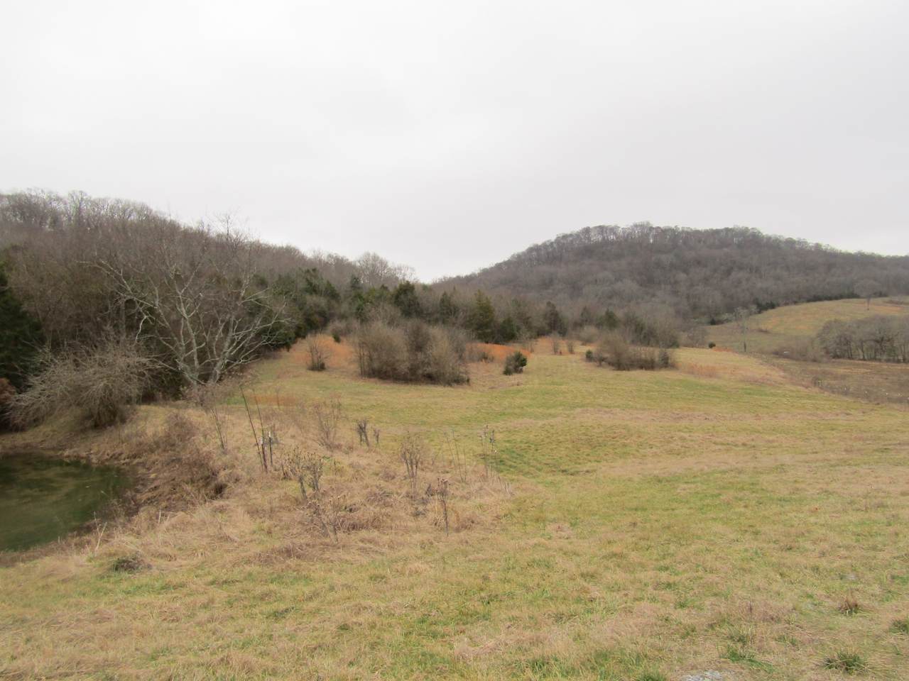 0 Fort Blount Rd - Photo 1