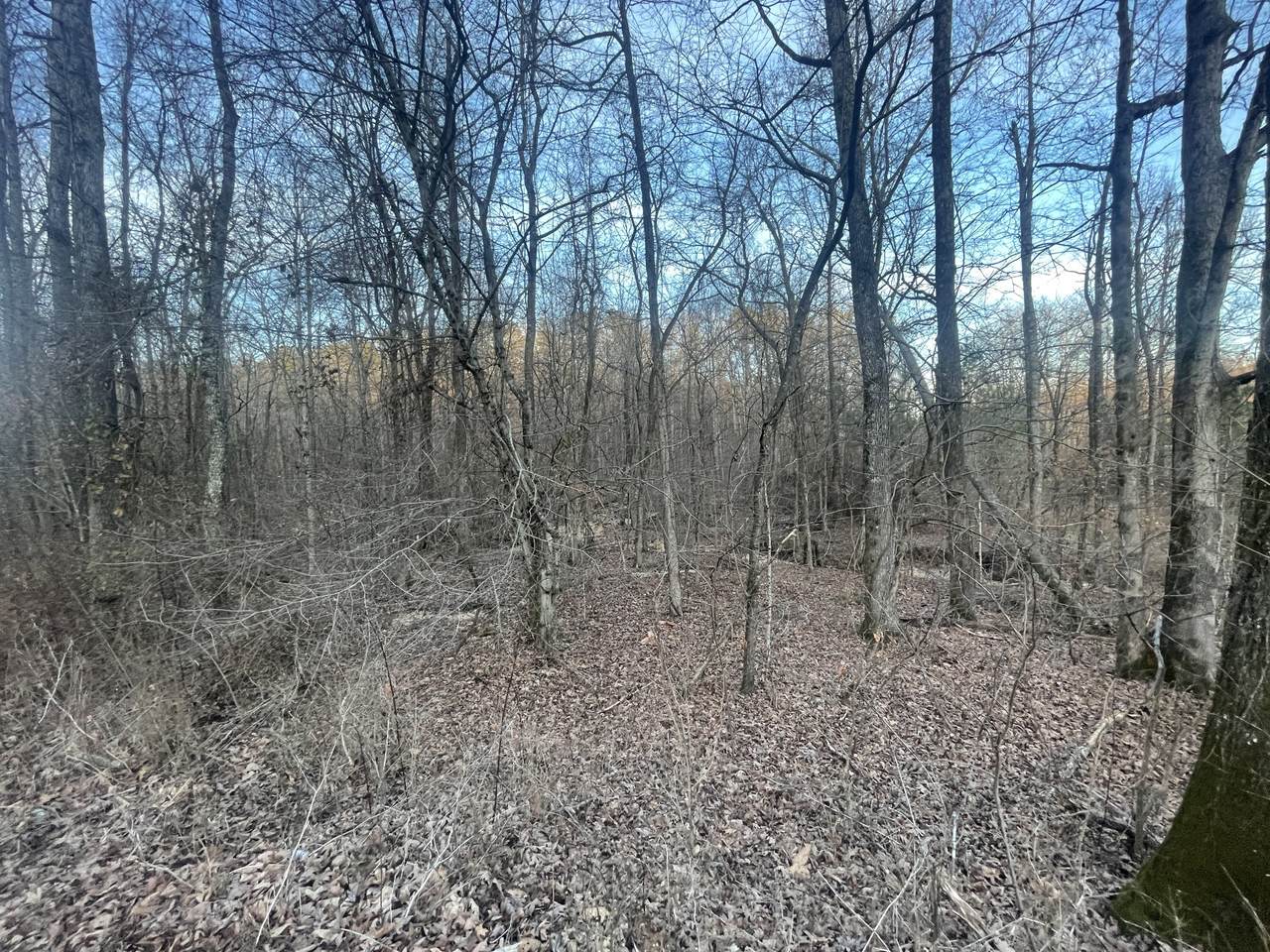 0 Pineview Road - Photo 1