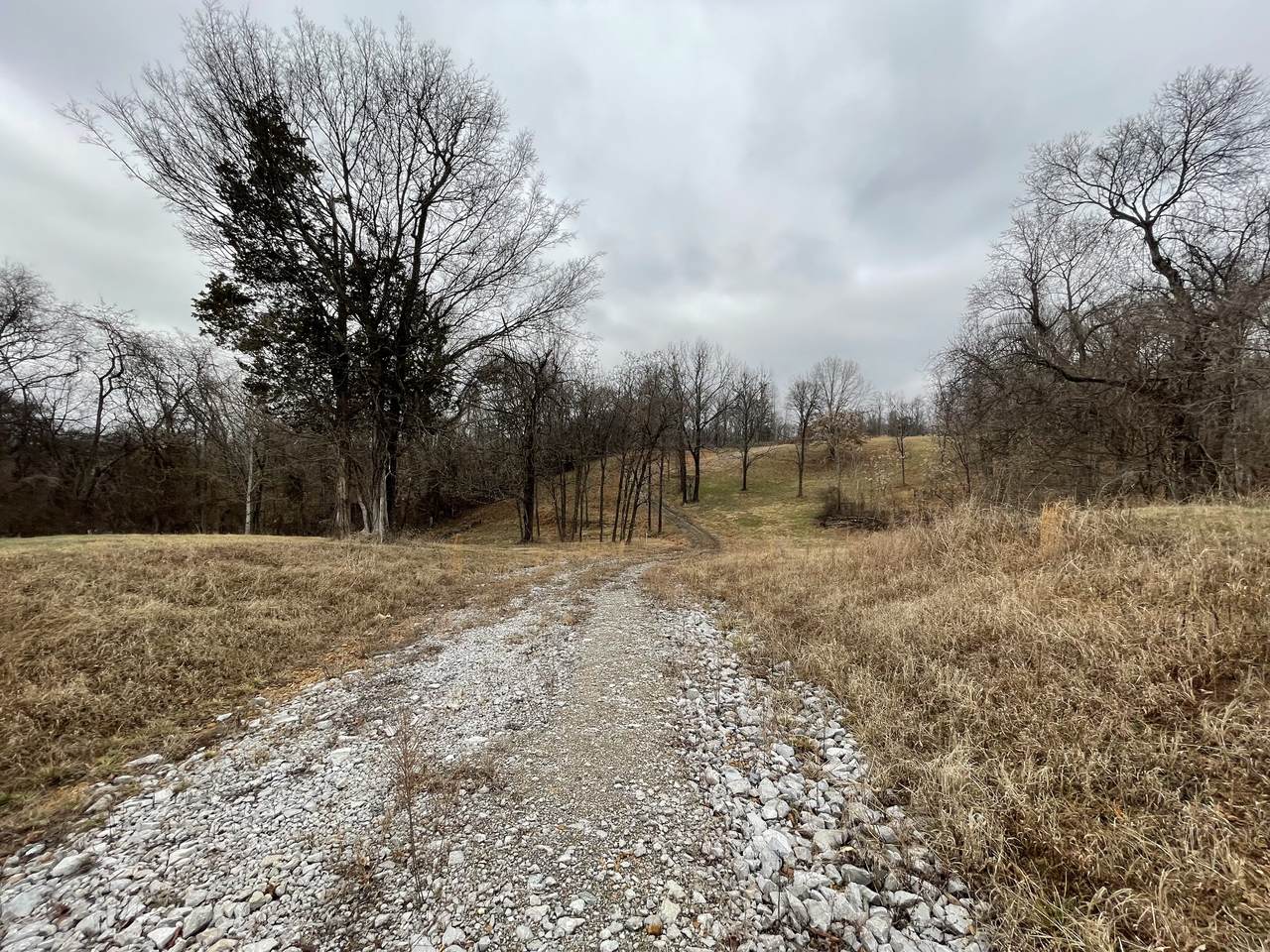 0 Belotes Ferry Rd - Photo 1