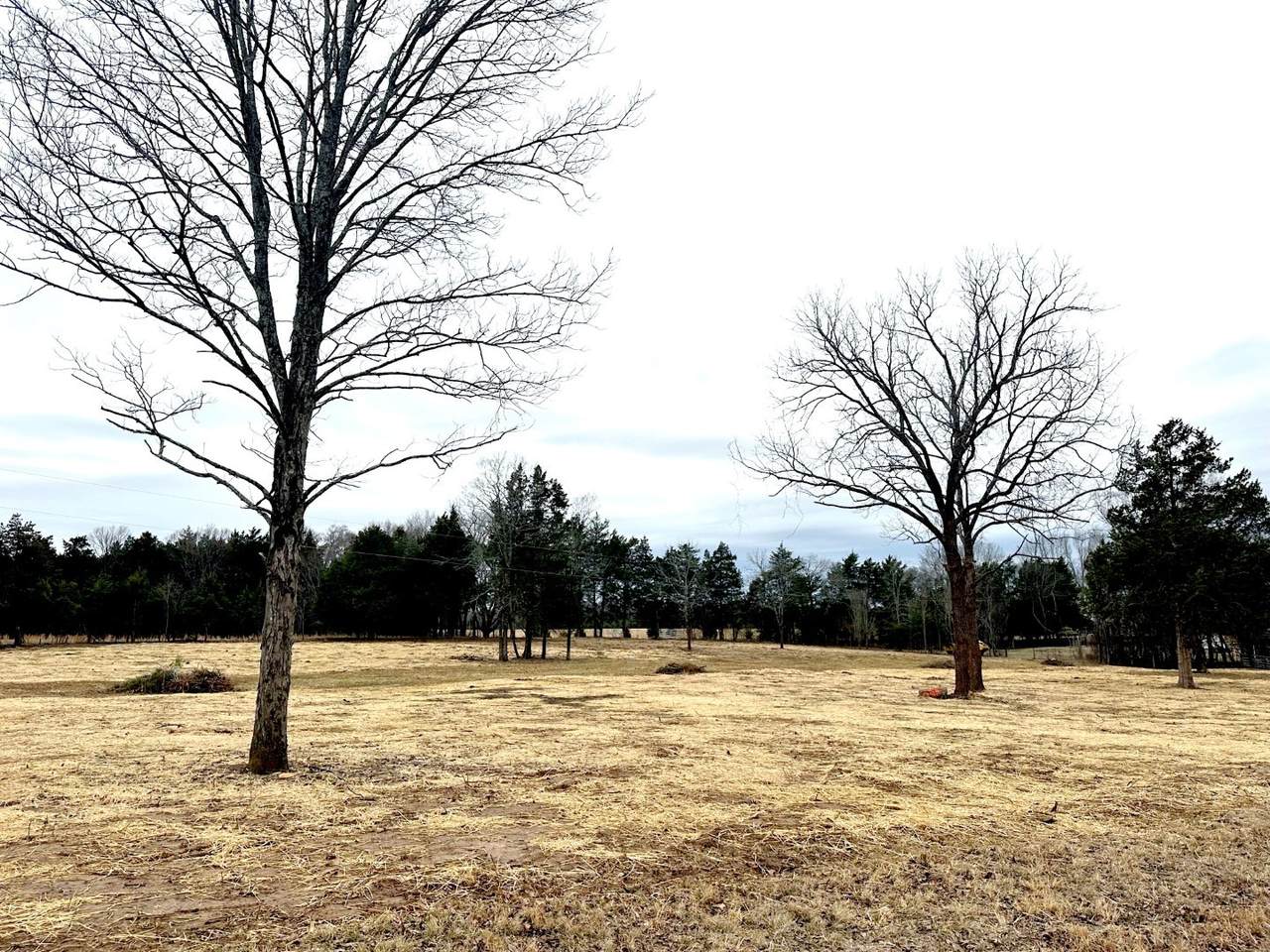 0 Christiana Hoovers Gap Rd. - Photo 1