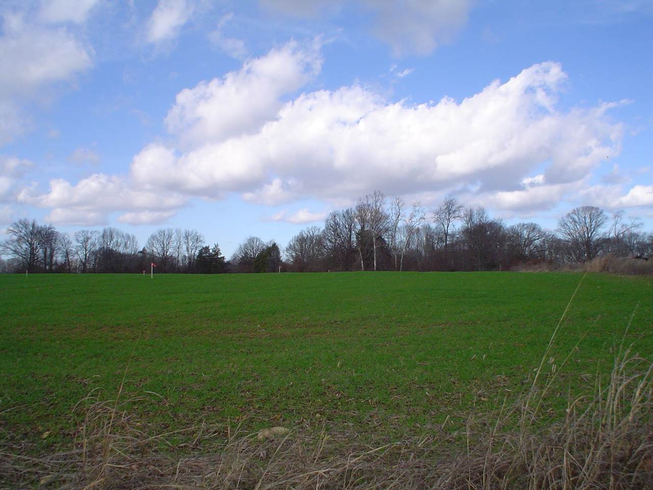0 Coolidge Road - Photo 1