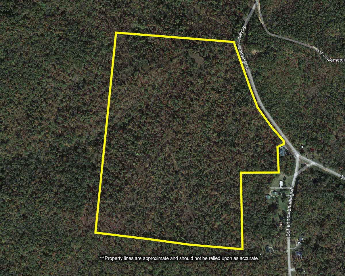 0 Bohannon Landing Road - Photo 1