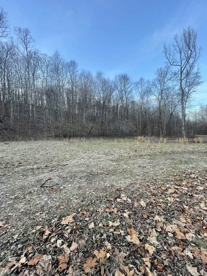 0 Box Hollow - Photo 1
