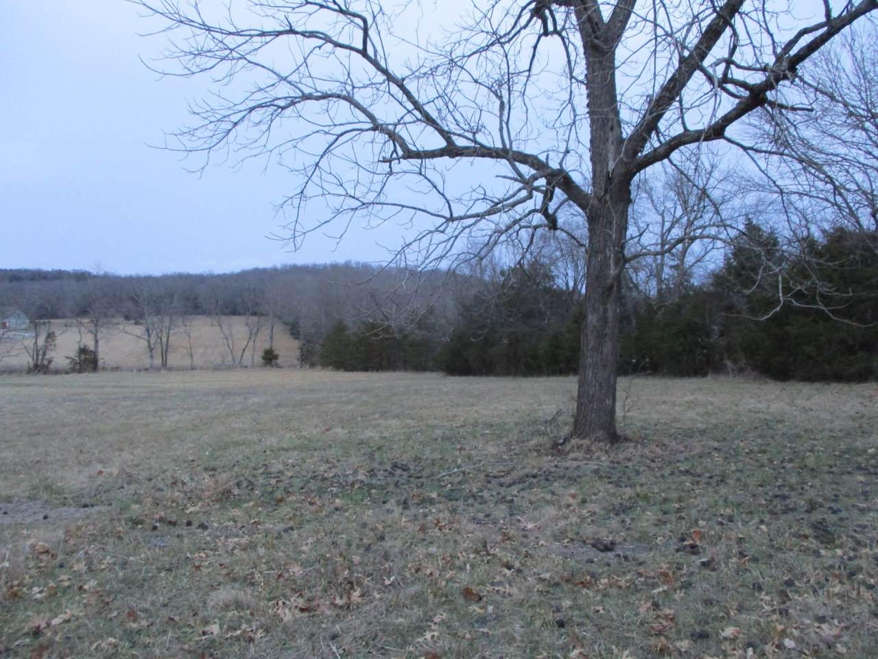 855 Trammel Ln - Photo 1