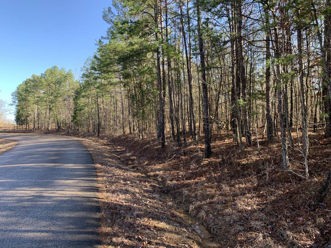 0 Cypress Tank Rd - Photo 1
