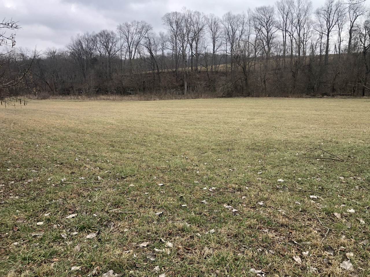 0 New Dry Hollow Rd - Photo 1