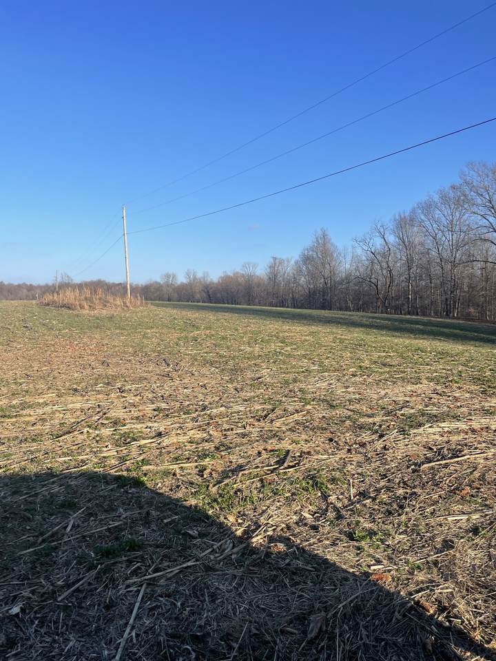 8808 Spring Hollow Rd - Photo 1