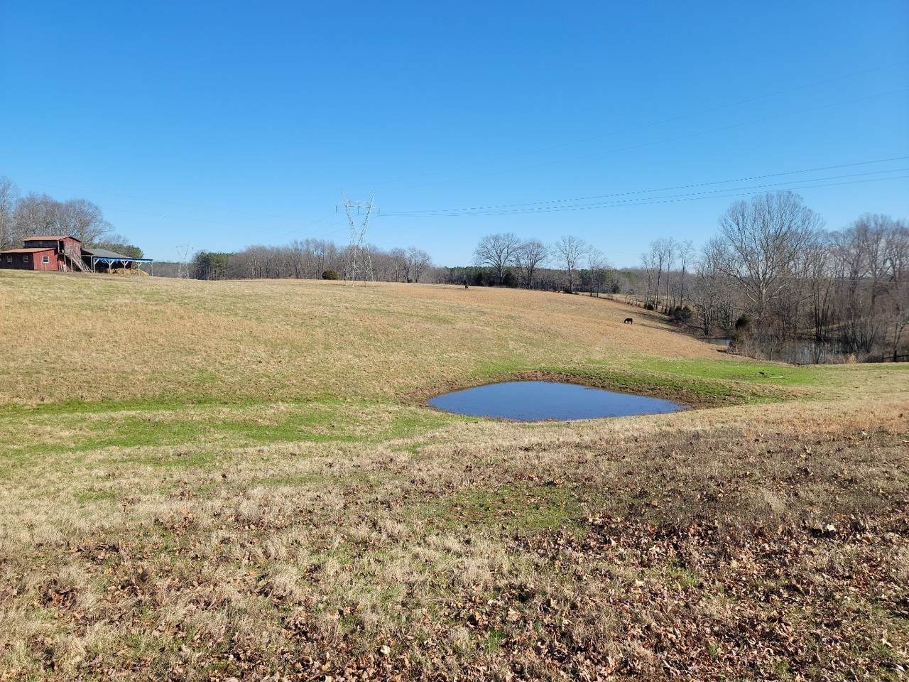 0 Womble Ridge Rd - Photo 1
