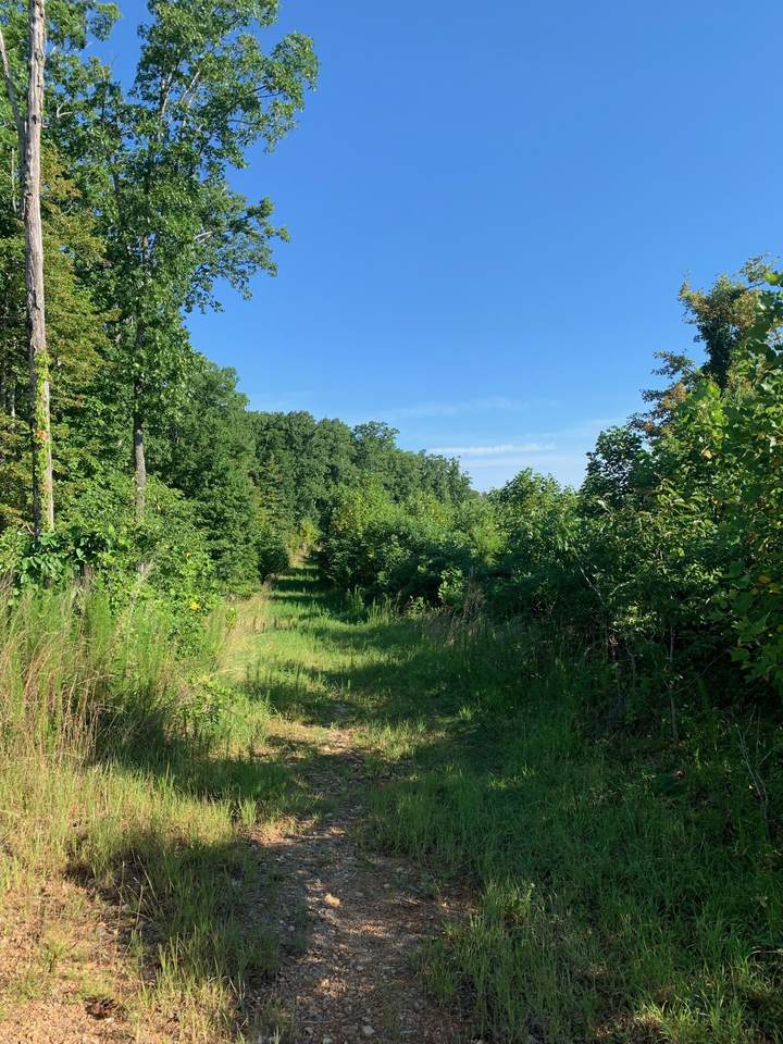 6 Overlook Trail - Photo 1