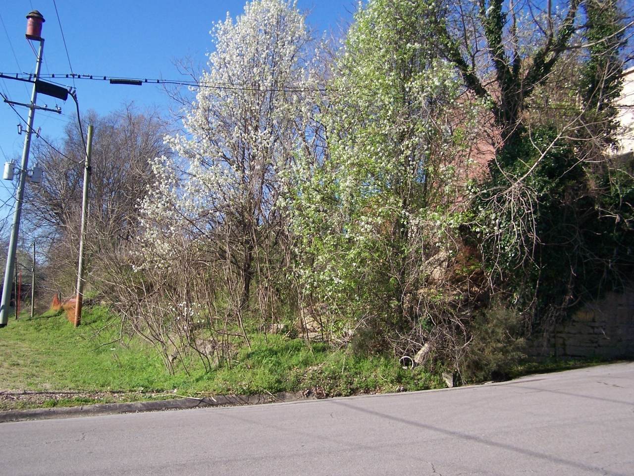 https://bt-photos.global.ssl.fastly.net/nashville/1280_boomver_1_RTC2552289-1.jpg
