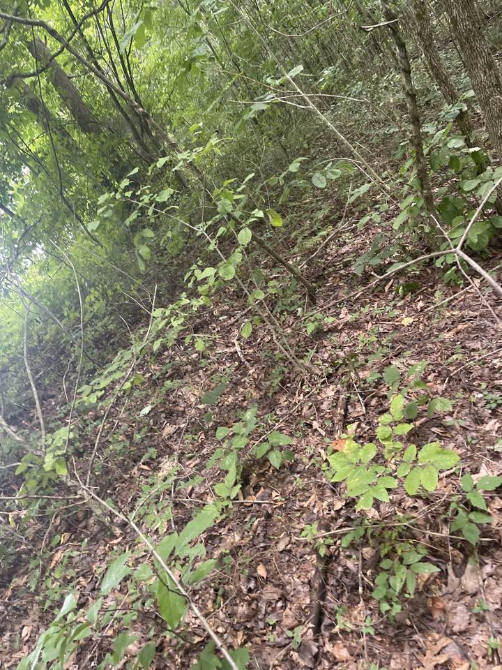 https://bt-photos.global.ssl.fastly.net/nashville/1280_boomver_1_RTC2561112-1.jpg