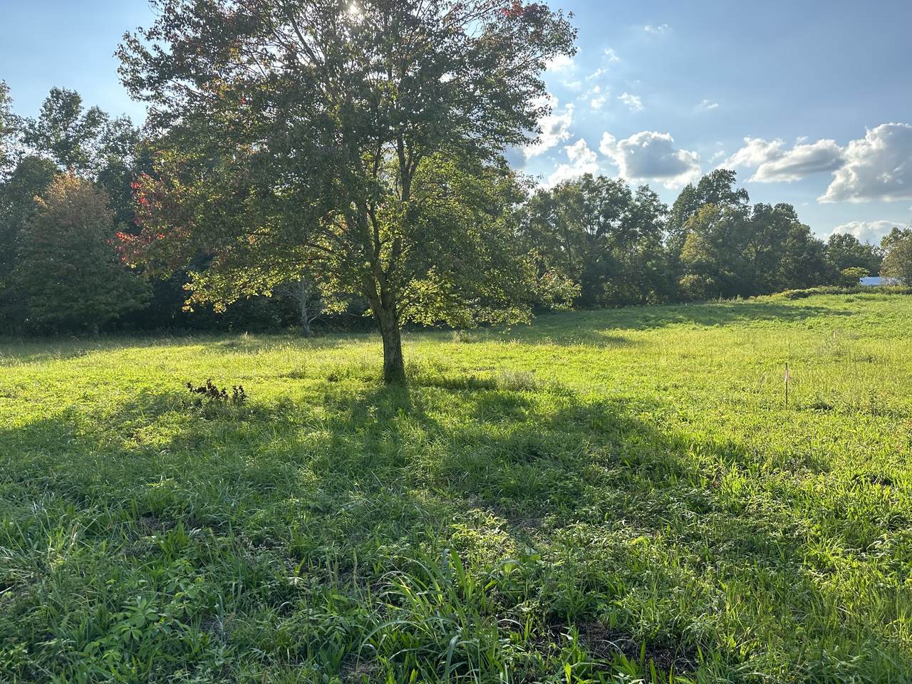 0 Clarksville Pike - Photo 1