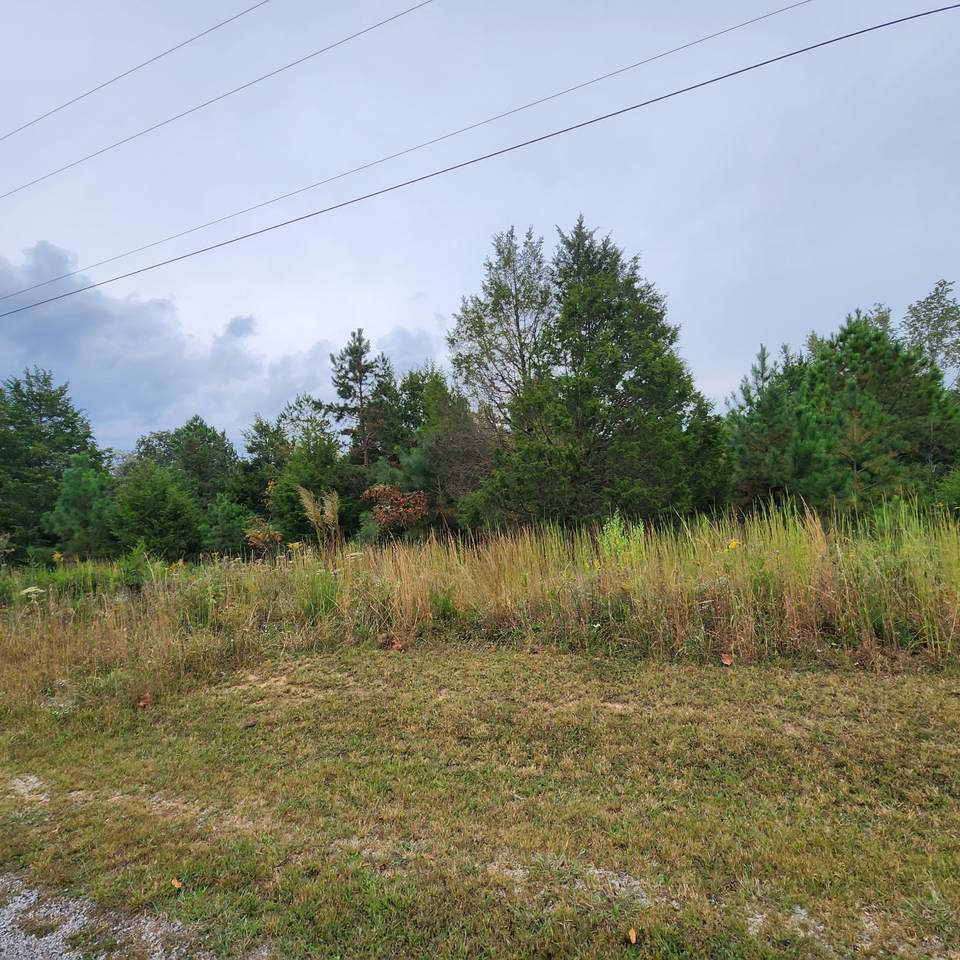 0 High Meadow Ct - Photo 1