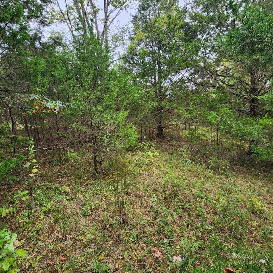 https://bt-photos.global.ssl.fastly.net/nashville/1280_boomver_1_RTC2587510-1.jpg