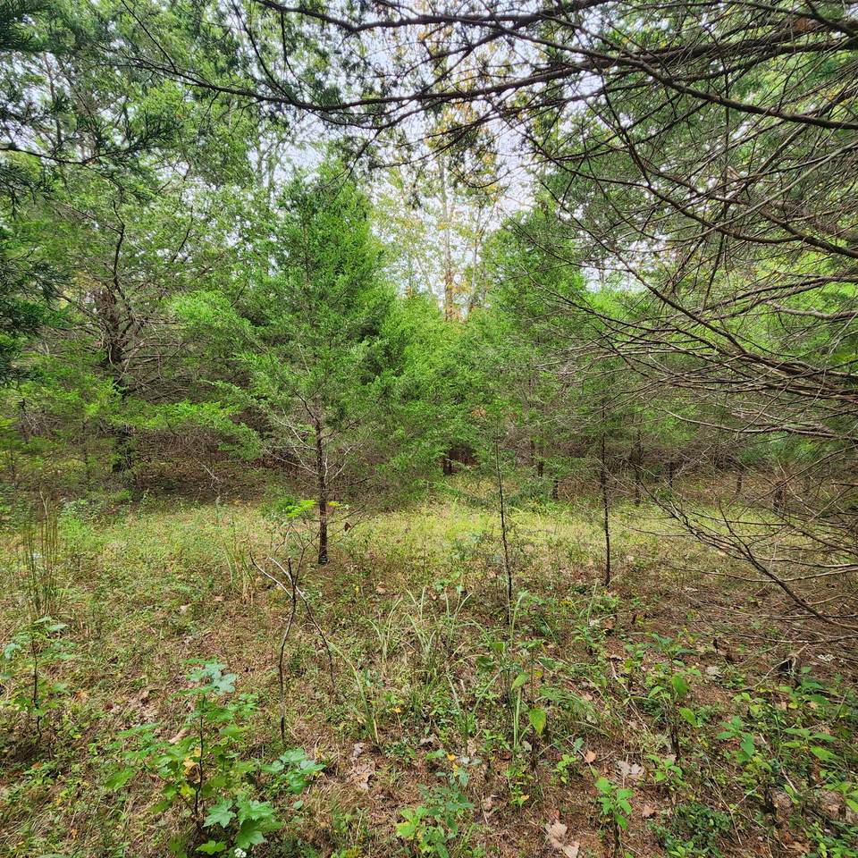 https://bt-photos.global.ssl.fastly.net/nashville/1280_boomver_1_RTC2587510-1.jpg