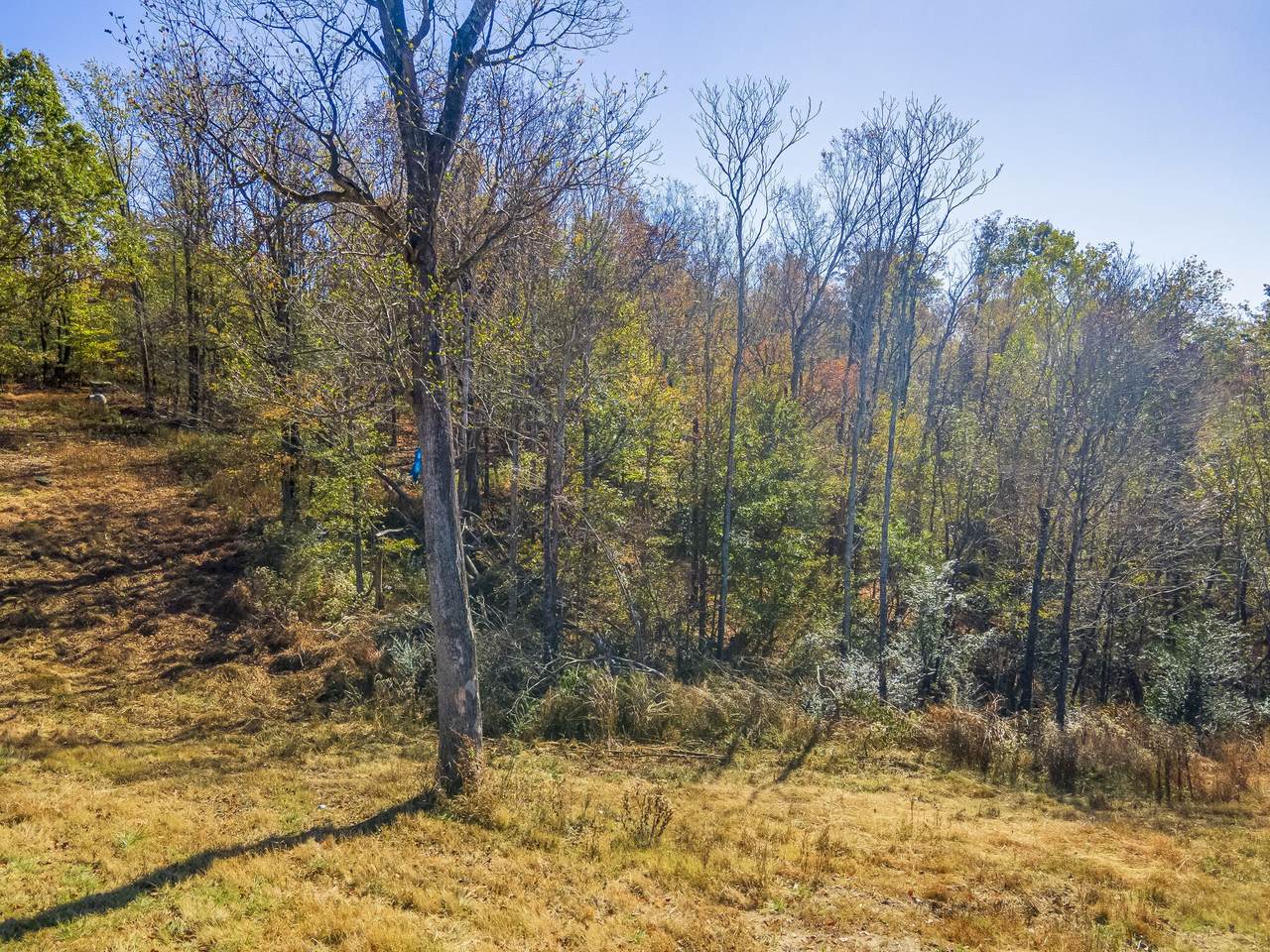 3547 Persimmon Ridge Rd - Photo 1