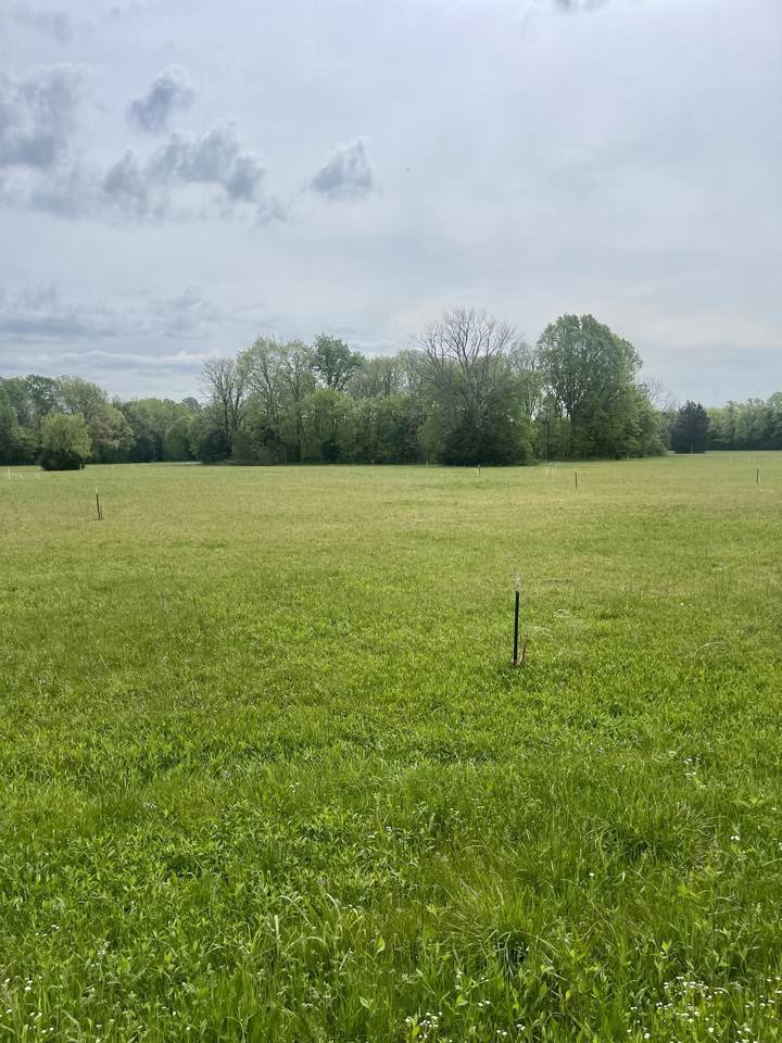 0 Hunter Road - Photo 1