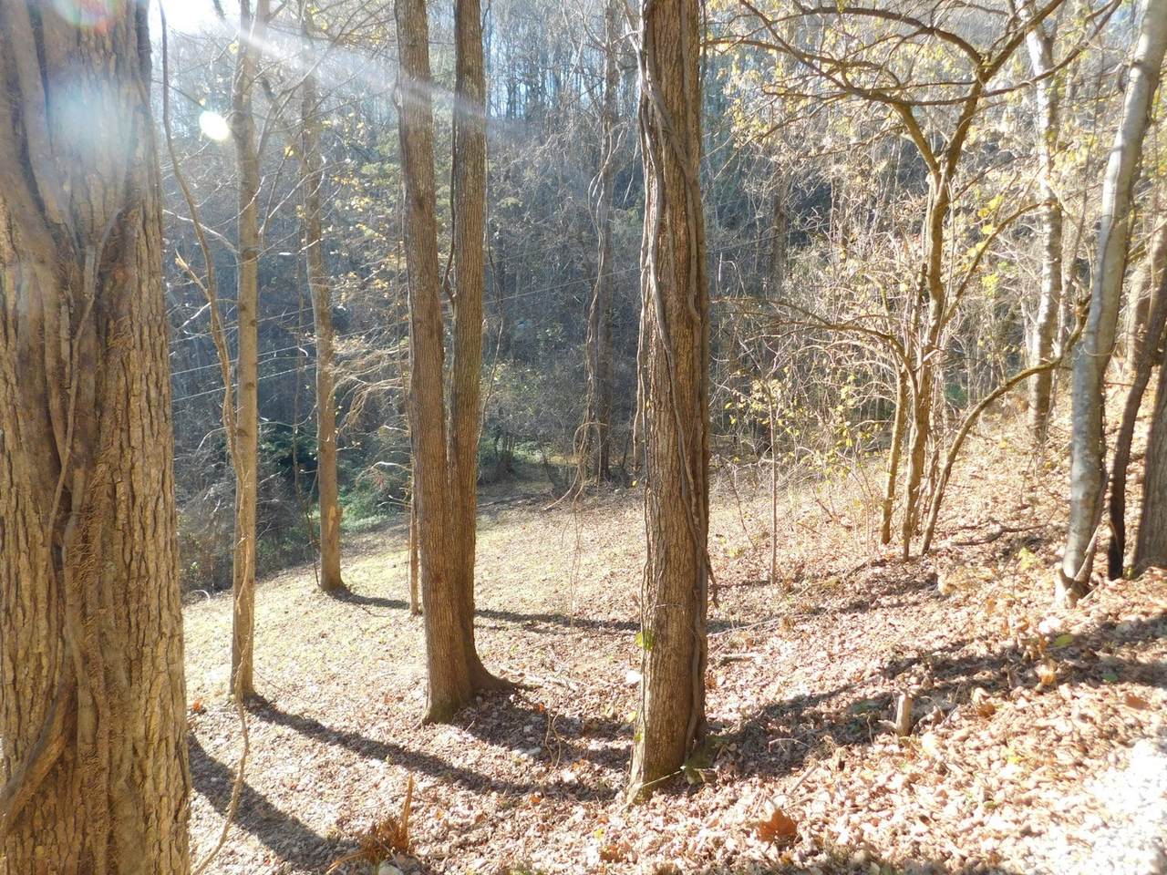https://bt-photos.global.ssl.fastly.net/nashville/1280_boomver_1_RTC2598515-1.jpg