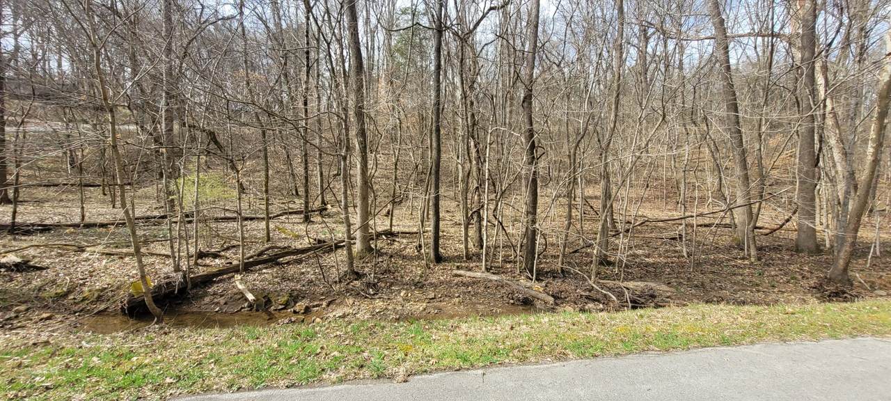 1 Lakeshore Cir - Photo 1