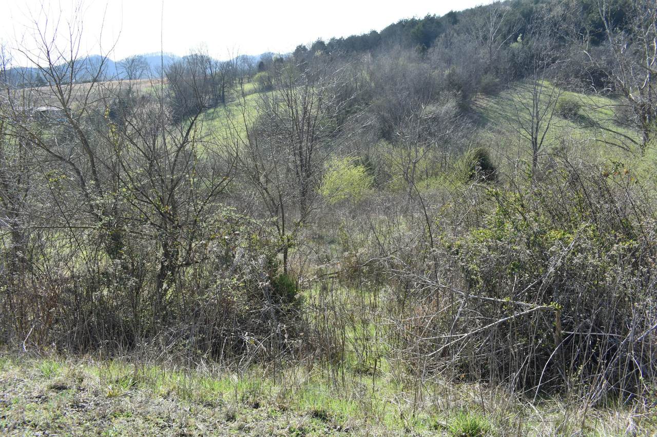 https://bt-photos.global.ssl.fastly.net/nashville/1280_boomver_1_RTC2628002-1.jpg