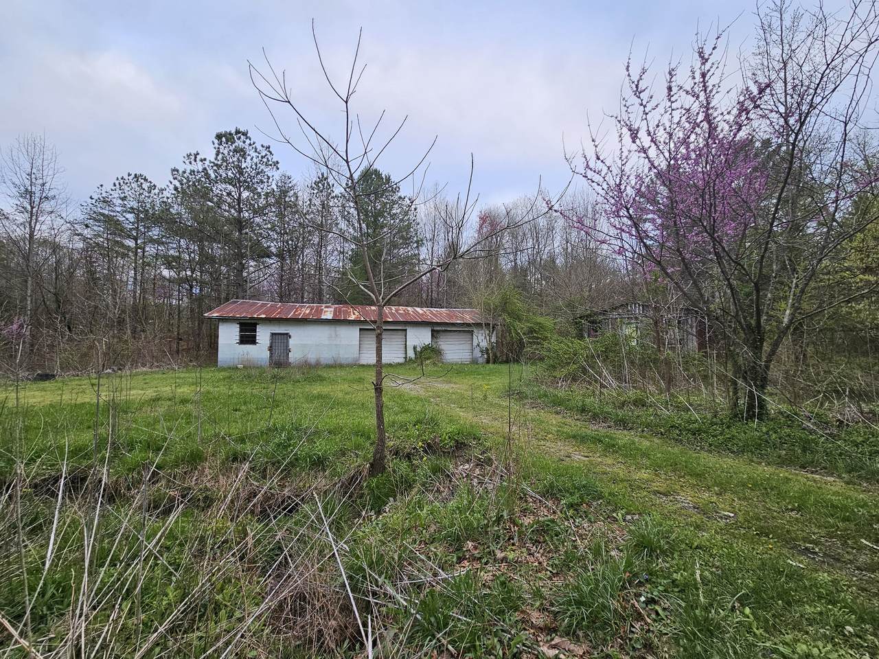 https://bt-photos.global.ssl.fastly.net/nashville/1280_boomver_1_RTC2640050-1.jpg