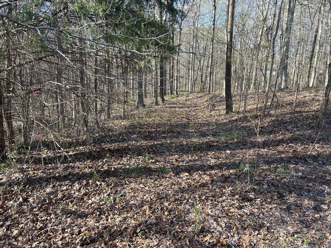 https://bt-photos.global.ssl.fastly.net/nashville/1280_boomver_1_RTC2641258-1.jpg