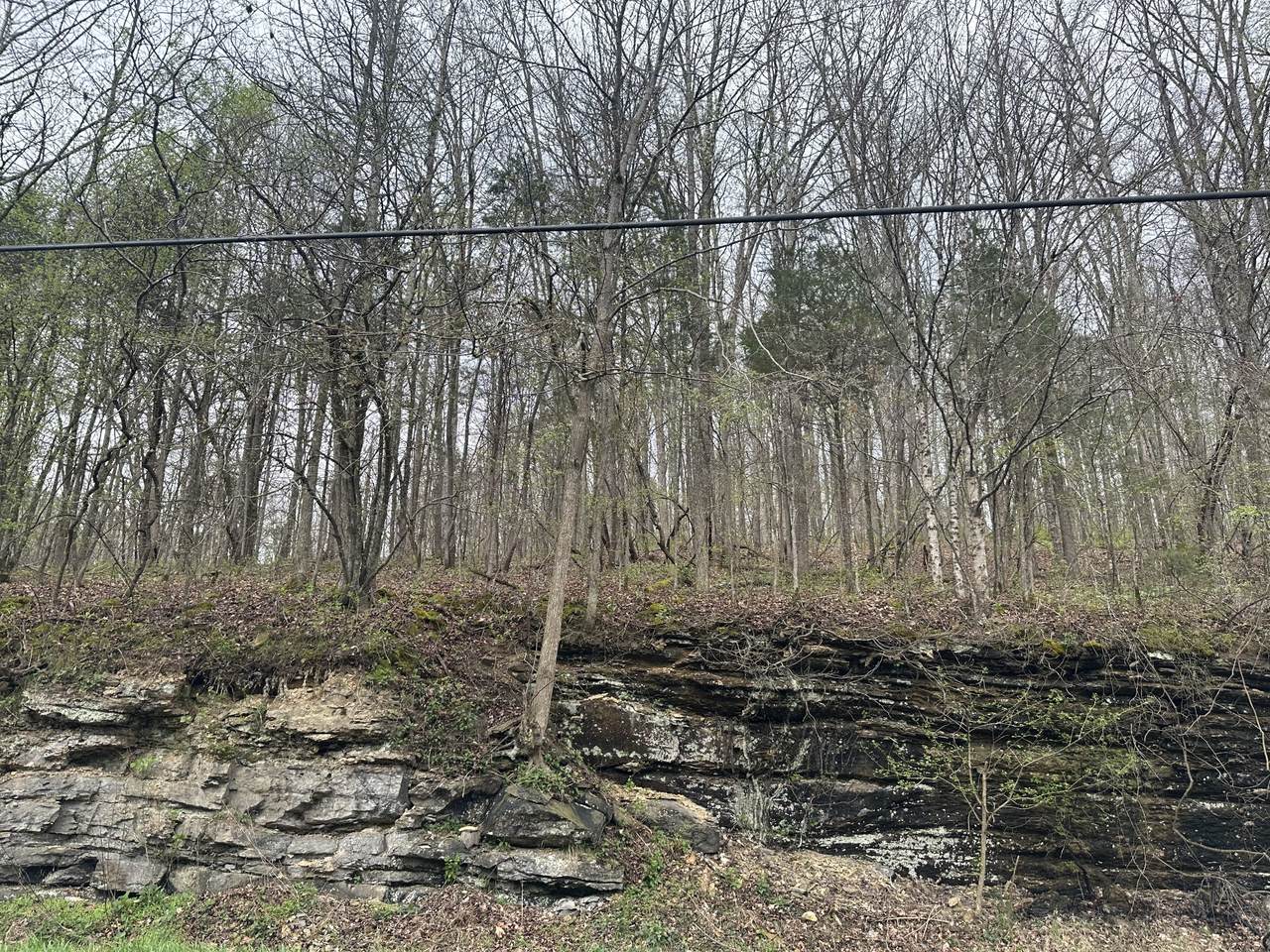 0 Hwy 49 - Photo 1
