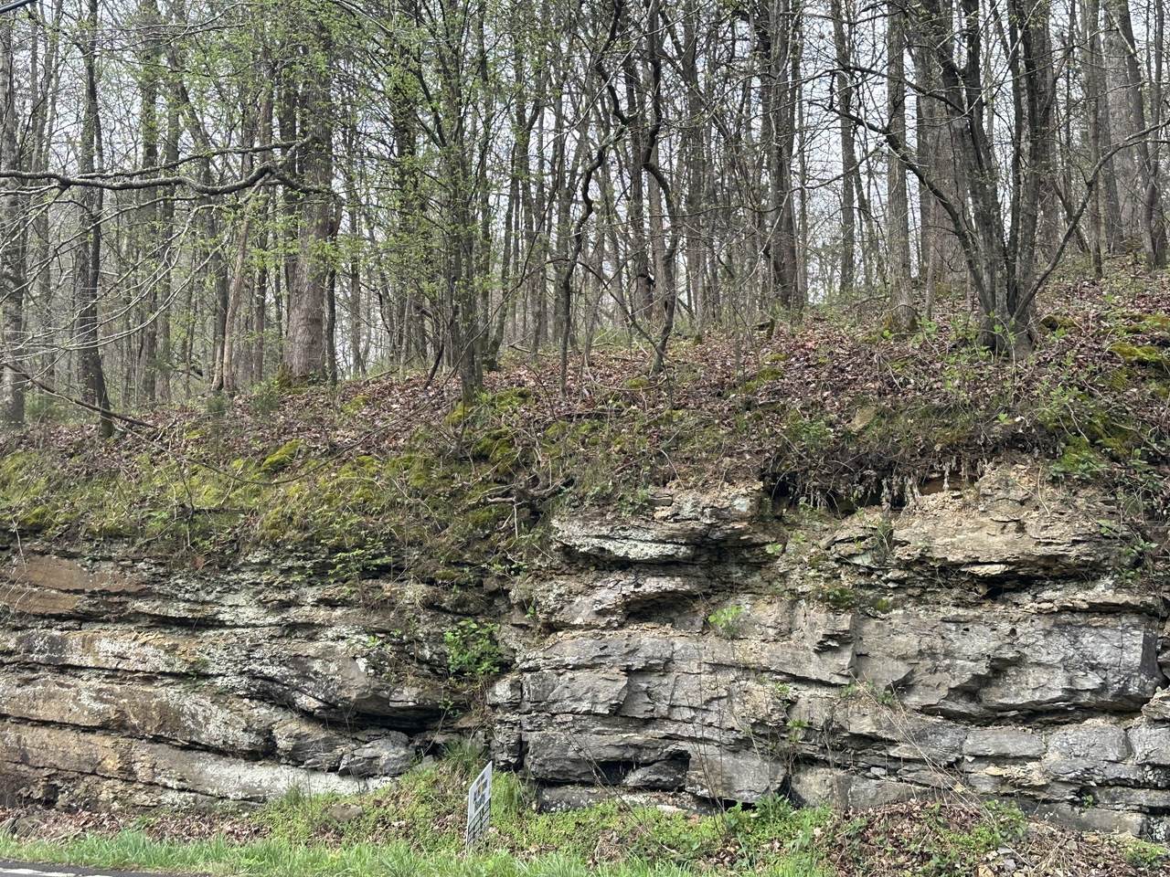 https://bt-photos.global.ssl.fastly.net/nashville/1280_boomver_1_RTC2641595-1.jpg