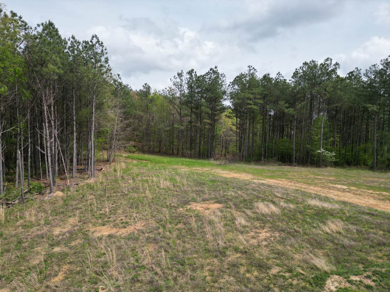https://bt-photos.global.ssl.fastly.net/nashville/1280_boomver_1_RTC2644590-1.jpg
